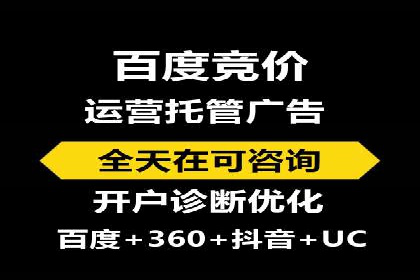 SEM优化技巧：实战案例深度剖析